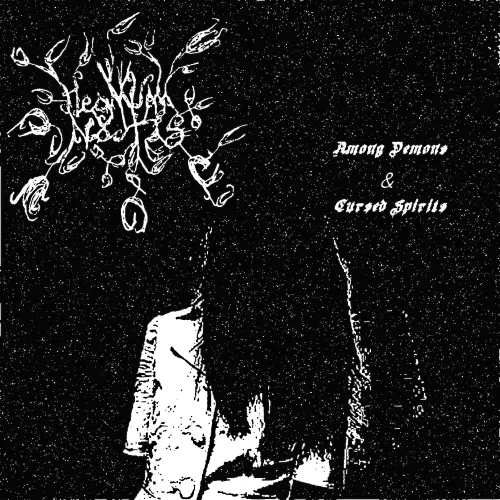 Regnum Noctis : Among Demons & Cursed Spirits